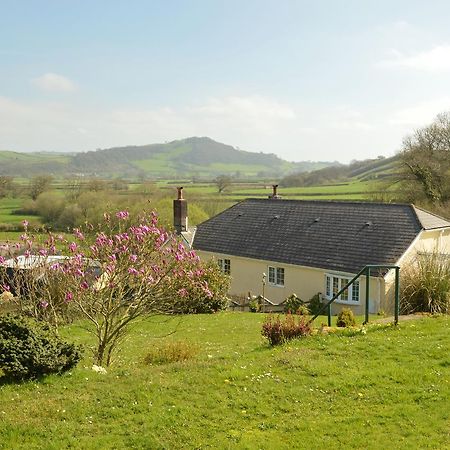 Bryn Hebog Bed & Breakfast Carmarthen Luaran gambar