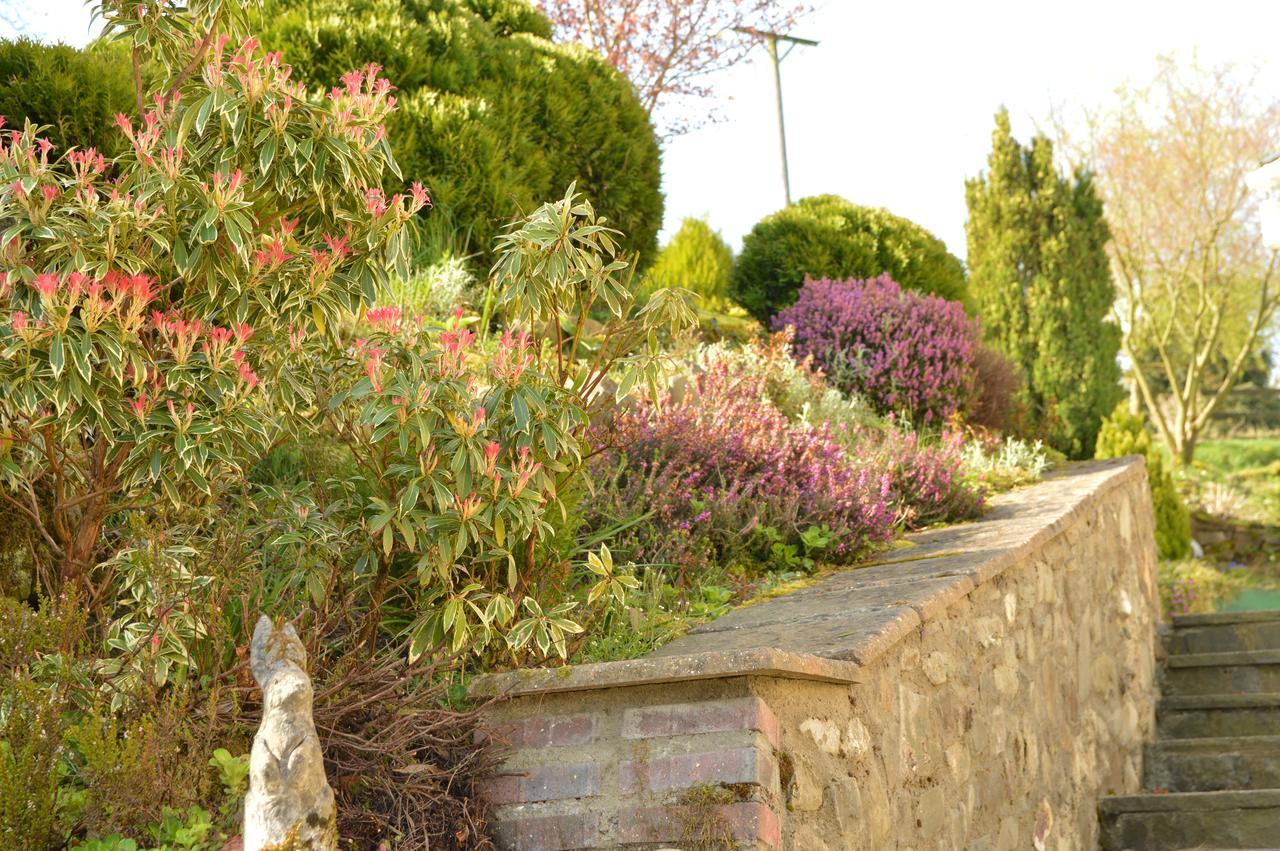 Bryn Hebog Bed & Breakfast Carmarthen Luaran gambar