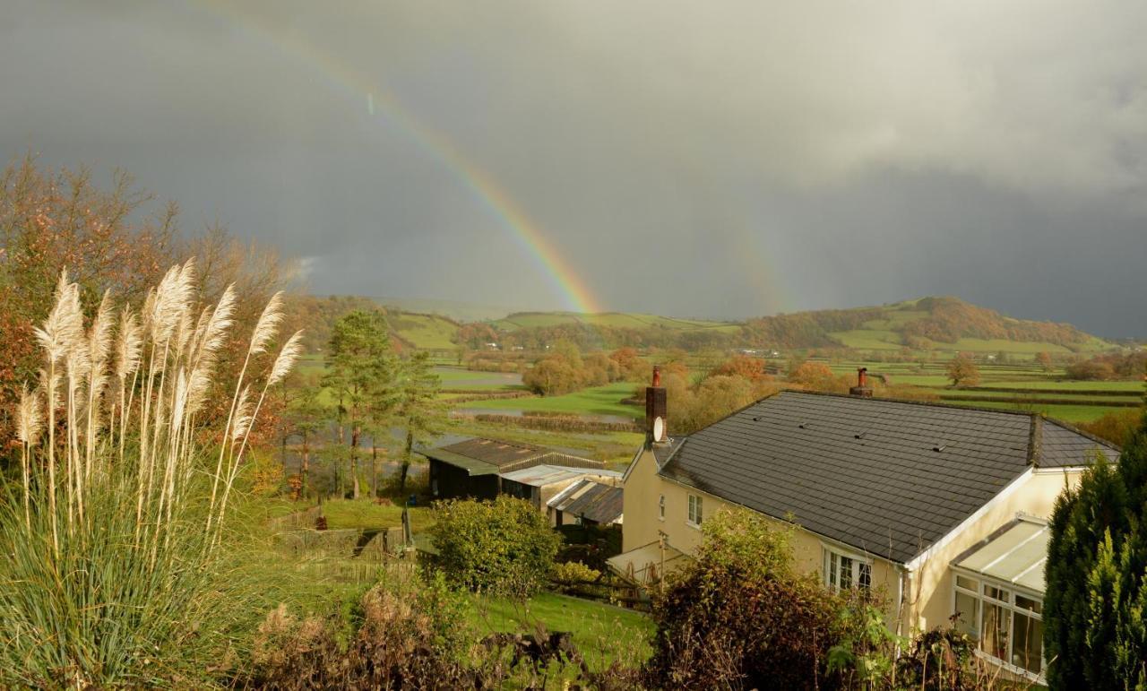 Bryn Hebog Bed & Breakfast Carmarthen Luaran gambar