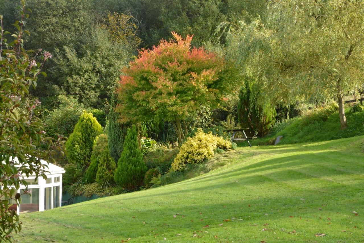 Bryn Hebog Bed & Breakfast Carmarthen Luaran gambar